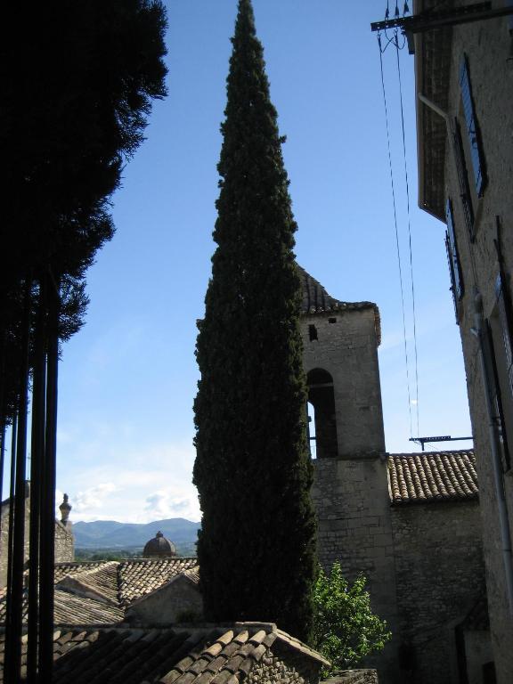 Maison D'Hotes De L'Eveche Bed & Breakfast Vaison-la-Romaine Exterior photo